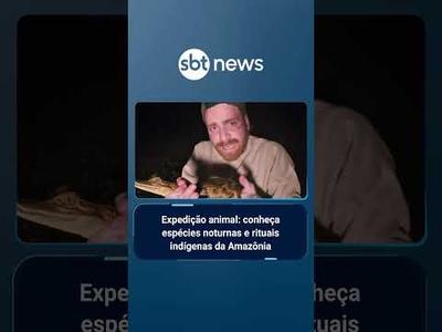 'Expedição Animal': conheça espécies noturnas e rituais de povos originários da Amazônia