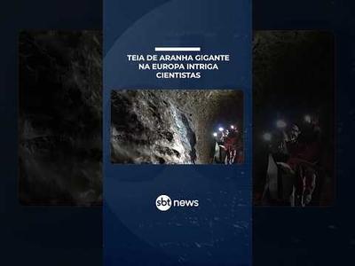 Teia de aranha gigante em caverna intriga cientistas na Europa | #SBTManha