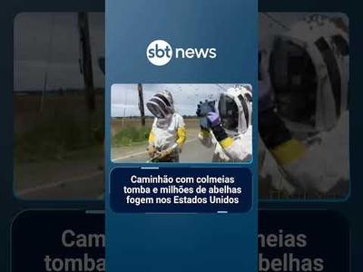 Caminhão com colmeias tomba e milhões de abelhas fogem nos Estados Unidos