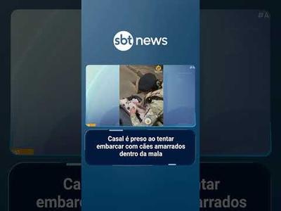 Casal é preso ao tentar embarcar com cães amarrados dentro da mala