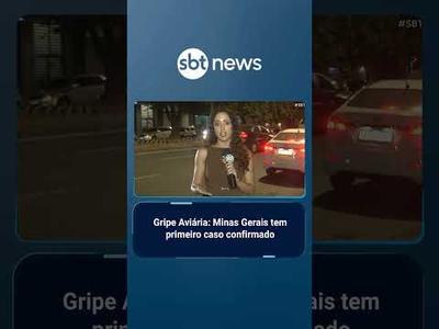 Gripe aviária: Minas decreta emergência sanitária após confirmação de caso 
