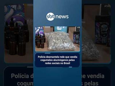 Polícia desmantela rede que vendia cogumelos alucinógenos por redes sociais no Brasil | #SBTBrasil