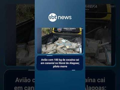 Avião com 180 kg de cocaína cai em canavial no litoral de Alagoas; piloto morre | #SBTBrasil