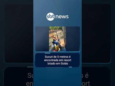 Sucuri de 5 metros é encontrada em resort lotado em Goiás | #PrimeiroImpacto