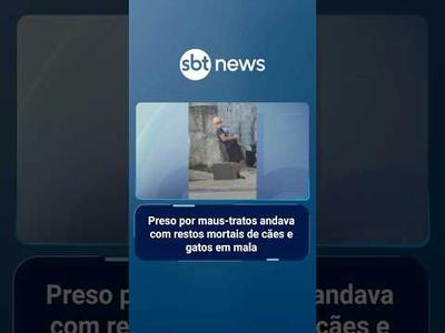 Homem preso por maus-tratos andava com restos mortais de cães e gatos em mala | #SBTManhã