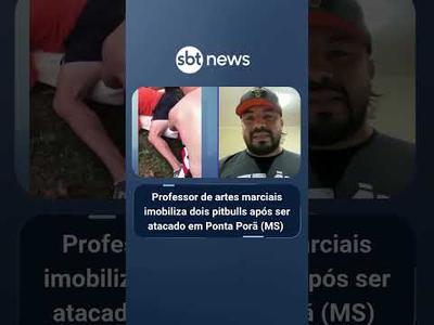 Professor de artes marciais imobiliza dois pitbulls após ser atacado em Ponta Porã (MS)