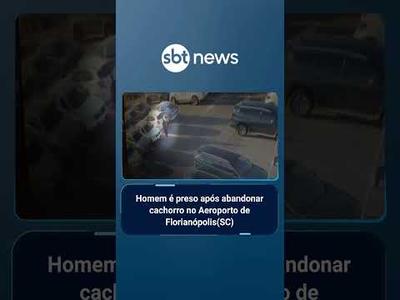 Flagra: homem é preso em Brasília após abandonar cachorro no Aeroporto de Florianópolis