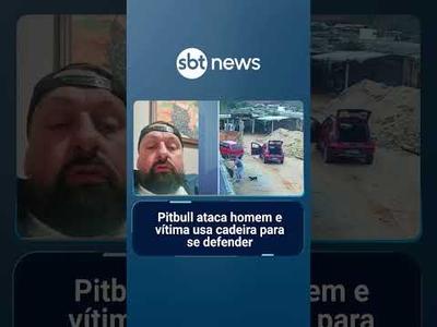 Pitbull ataca homem e vítima usa cadeira para se defender | #SBTManhã