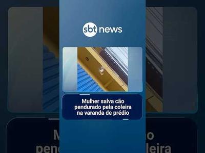 Mulher salva cão pendurado pela coleira na varanda de prédio