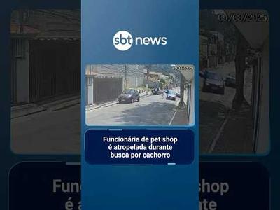 Funcionária de pet shop é atropelada durante busca por cachorro | #SBTManhã