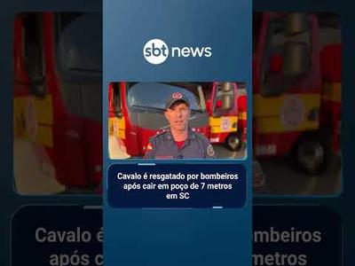 Cavalo é resgatado por bombeiros após cair em poço de 7 metros em SC | #SBTNoticias