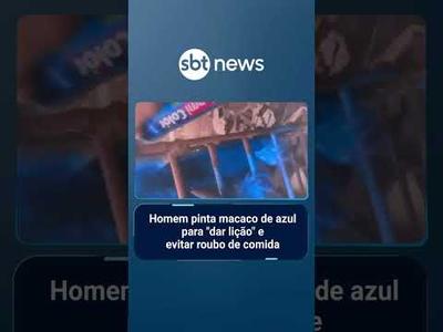 Homem pinta macaco de azul para "dar lição" e evitar roubo de comida | #PrimeiroImpacto