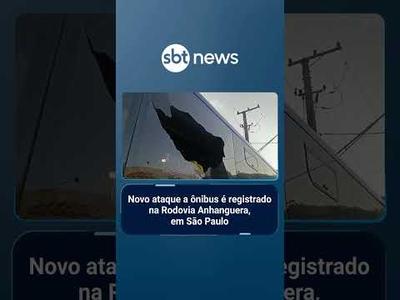 Novo ataque a ônibus é registrado na Rodovia Anhanguera, em São Paulo | #SBTBrasil