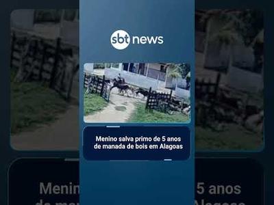 Menino salva primo de 5 anos de manada de bois em Alagoas