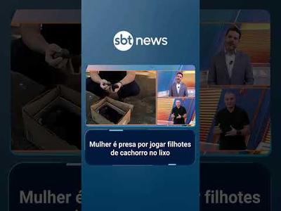 Mulher é presa por jogar filhotes de cachorro no lixo no Paraná | #SBTManhã