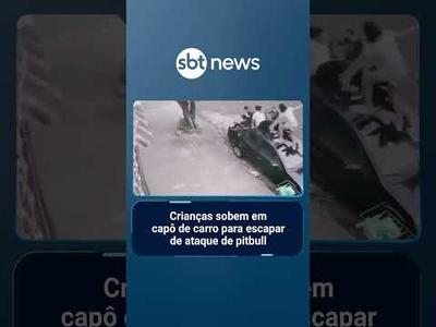 Crianças sobem em capô de carro para escapar de ataque de pitbull | #SBTManhã