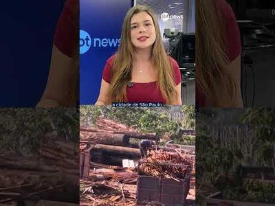 Começa a COP30 em Belém: o que esperar da conferência?