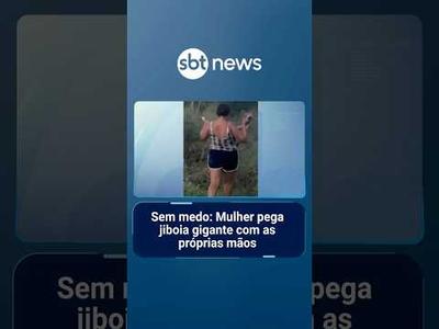 Mulher pega jiboia gigante com as próprias mãos no quintal de casa