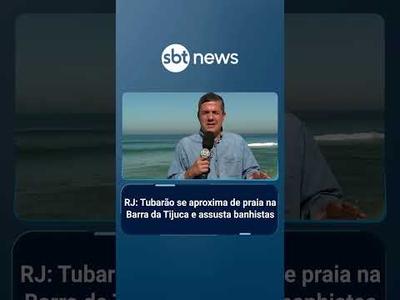 RJ: Tubarão se aproxima de praia na Barra da Tijuca e assusta banhistas