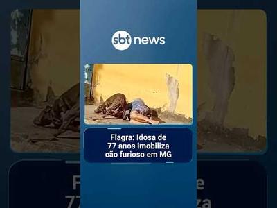 Flagra: Idosa de 77 anos imobiliza cão furioso em MG