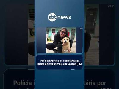 Polícia investiga ex-secretária por morte de 240 animais em Canoas (RS) | #SBTBrasil