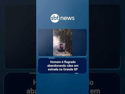 Homem é flagrado abandonando cães em estrada na Grande SP | #SBTNoticias