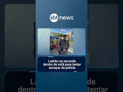 Ladrão se esconde dentro de sofá para tentar escapar da polícia