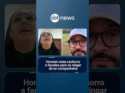 Homem mata cachorro a facadas para se vingar da ex-companheira