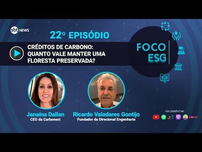 Créditos de carbono: quanto vale manter uma floresta preservada? | Foco ESG #22