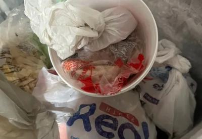 Pizza de carne de sol entra na mira da polícia em caso de morte e intoxicação em massa na Paraíba