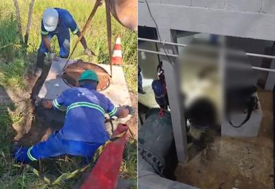 Égua cai em adutora e deixa mais de 700 bairros de BH e Região Metropolitana sem água