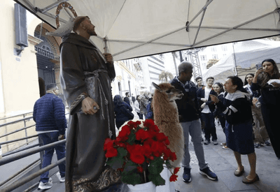 Cachorros, gatos, furões e até uma alpaca recebem bênção de São Francisco de Assis