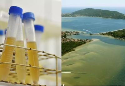 Água da Lagoa da Conceição, em Florianópolis, tem um dos maiores níveis de cocaína já registrados no mundo