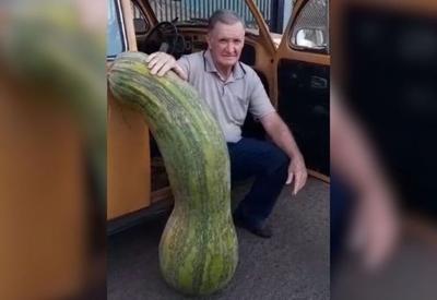 Paranaense colhe abobrinha gigante de mais de 70kg