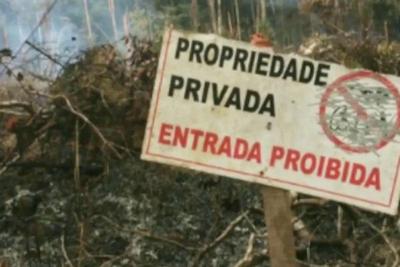 Ação de grileiros ameaça área de proteção ambiental no Pará