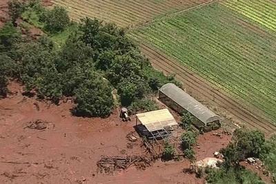 Ações da Vale caem em Nova York após tragédia em Brumadinho