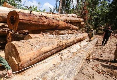 Desmatamento na Amazônia chega a 2.095 km² no mês de julho
