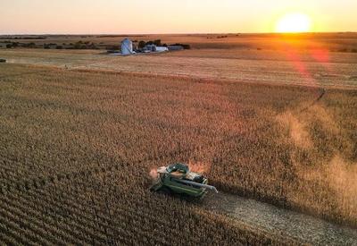 Custo de produção afeta venda de soja e milho do Brasil para o mundo