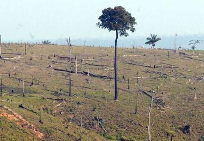 Amazônia bate recorde em alertas de desmatamento em junho