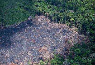 Área voltada a Amazônia Legal diminuiu 320 km² no último ano, diz IBGE