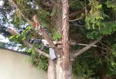 Arma de alto calibre é abandonada em árvore após ataque em Guarapuava