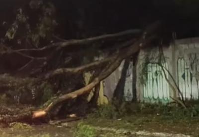 Ventania e chuva deixam 205 mil sem luz em São Paulo