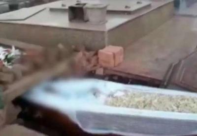 Bandidos deixam corpo de idoso exposto após assalto em cemitério de SP