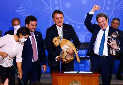 Bolsonaro aumenta pena para maus-tratos a cães e gatos