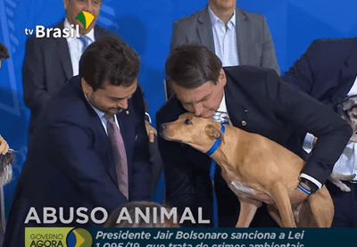 Bolsonaro ergue cachorro em cerimônia no Planalto