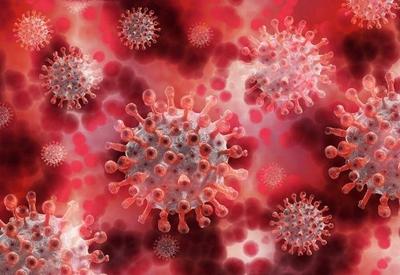 Brasil é foco de mutações do novo coronavírus, diz estudo
