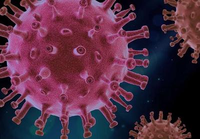Brasil soma quase 2,5 milhões de infectados pelo novo coronavírus