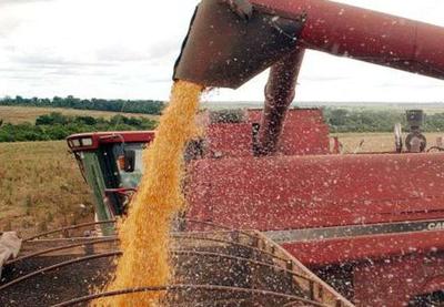 Brasil supera EUA e volta a ser maior produtor de soja do mundo