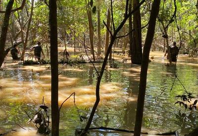 Ministro da Justiça diz que PF encontrou "remanescentes humanos" no Amazonas