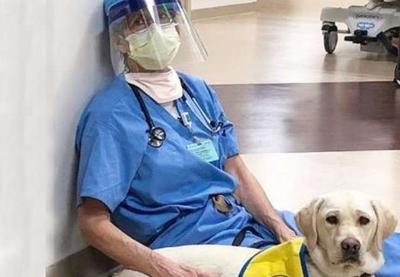 Cães de serviço trazem conforto para médicos durante combate ao coronavírus